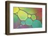 Stained Glass I-Cora Niele-Framed Photographic Print