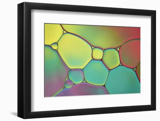 Stained Glass I-Cora Niele-Framed Photographic Print