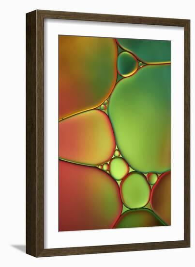 Stained Glass II-Cora Niele-Framed Photographic Print