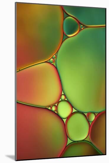 Stained Glass II-Cora Niele-Mounted Photographic Print