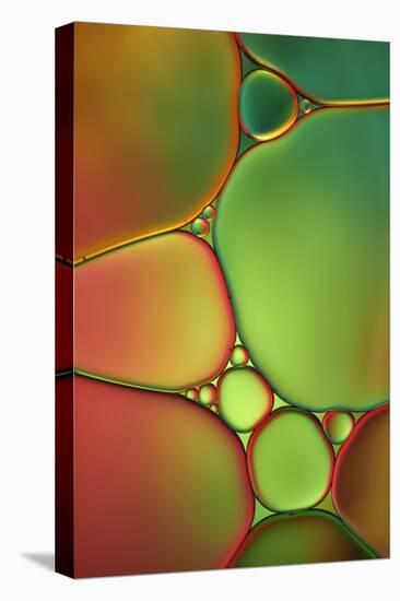 Stained Glass II-Cora Niele-Stretched Canvas