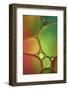 Stained Glass II-Cora Niele-Framed Photographic Print