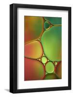 Stained Glass II-Cora Niele-Framed Photographic Print