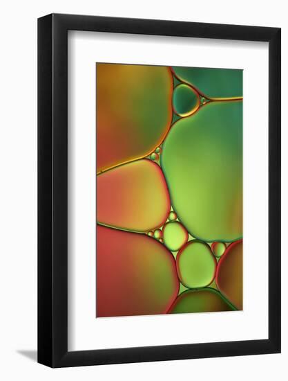 Stained Glass II-Cora Niele-Framed Photographic Print