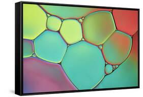 Stained Glass III-Cora Niele-Framed Stretched Canvas