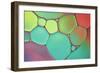 Stained Glass III-Cora Niele-Framed Photographic Print