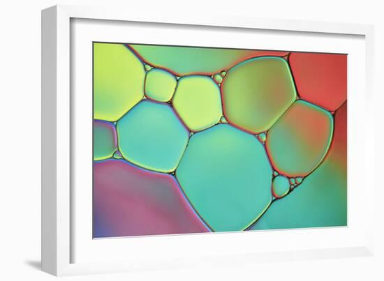 Stained Glass III-Cora Niele-Framed Photographic Print