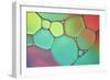 Stained Glass III-Cora Niele-Framed Photographic Print