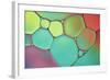 Stained Glass III-Cora Niele-Framed Photographic Print