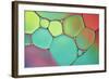 Stained Glass III-Cora Niele-Framed Photographic Print