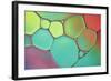 Stained Glass III-Cora Niele-Framed Photographic Print