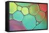 Stained Glass III-Cora Niele-Framed Stretched Canvas