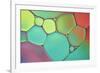 Stained Glass III-Cora Niele-Framed Photographic Print