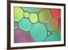 Stained Glass III-Cora Niele-Framed Photographic Print