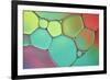 Stained Glass III-Cora Niele-Framed Photographic Print