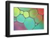 Stained Glass III-Cora Niele-Framed Photographic Print