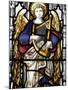 Stained Glass in St. George Anglican Cathedral, Jerusalem, Israel, Middle East-null-Mounted Photographic Print