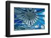 Stained Glass in the Metropolitan Cathedral of Brasilia-Michael Runkel-Framed Photographic Print