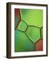 Stained Glass IV-Cora Niele-Framed Photographic Print
