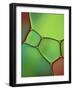 Stained Glass IV-Cora Niele-Framed Photographic Print