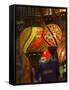 Stained Glass Lamp Vendor in Spice Market, Istanbul, Turkey-Darrell Gulin-Framed Stretched Canvas