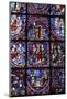 Stained glass, Notre-Dame de Chartres Cathedral, Chartres, Eure-et-Loir, France-Godong-Mounted Photographic Print