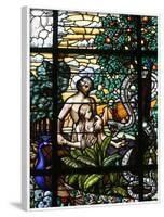 Stained Glass of Adam and Eve in the Garden of Eden, Vienna, Austria, Europe-Godong-Framed Photographic Print
