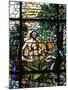 Stained Glass of Adam and Eve in the Garden of Eden, Vienna, Austria, Europe-Godong-Mounted Photographic Print
