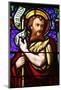 Stained glass of St. John the Baptist, in St. Paul's church, Lyon, Rhone, France-Godong-Mounted Photographic Print