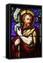 Stained glass of St. John the Baptist, in St. Paul's church, Lyon, Rhone, France-Godong-Framed Stretched Canvas