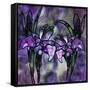 Stained Glass Orchids-Mindy Sommers-Framed Stretched Canvas