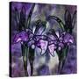 Stained Glass Orchids-Mindy Sommers-Stretched Canvas