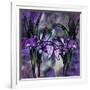 Stained Glass Orchids-Mindy Sommers-Framed Giclee Print