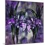 Stained Glass Orchids-Mindy Sommers-Mounted Giclee Print