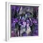 Stained Glass Orchids-Mindy Sommers-Framed Giclee Print