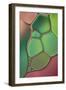 Stained Glass V-Cora Niele-Framed Photographic Print