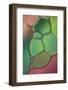 Stained Glass V-Cora Niele-Framed Photographic Print