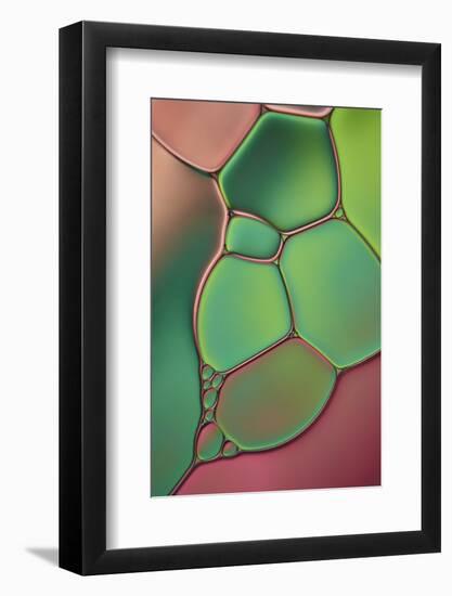 Stained Glass V-Cora Niele-Framed Photographic Print