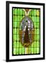 Stained Glass VII-Kathy Mahan-Framed Photographic Print