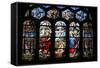 Stained Glass Window Depicting the Nativity, St. Eustache Church, Paris, France, Europe-Godong-Framed Stretched Canvas
