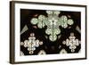 Stained Glass Window, Lala Mustafa Pasha Mosque, Famagusta, North Cyprus-Peter Thompson-Framed Photographic Print