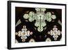 Stained Glass Window, Lala Mustafa Pasha Mosque, Famagusta, North Cyprus-Peter Thompson-Framed Photographic Print