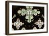Stained Glass Window, Lala Mustafa Pasha Mosque, Famagusta, North Cyprus-Peter Thompson-Framed Photographic Print