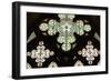 Stained Glass Window, Lala Mustafa Pasha Mosque, Famagusta, North Cyprus-Peter Thompson-Framed Photographic Print