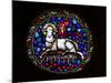 Stained Glass Window of Christ the Lamb in St. Matthias Church, Budapest, Hungary, Europe-Godong-Mounted Photographic Print