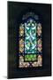 Stained Glass Window, Suleymaniye Mosque, 1557-null-Mounted Photographic Print