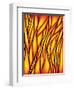 Stained Glass Window-epic44-Framed Art Print