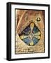 Stained Glass Window-Antoni Gaudí-Framed Giclee Print