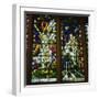 Stained glass windows depicting The Annunciation and Adam and Eve in the Garden of Eden-English School-Framed Giclee Print