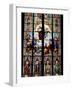 Stained Glass Windows in Cologne Cathedral, Cologne, North Rhine Westphalia, Germany-Yadid Levy-Framed Photographic Print